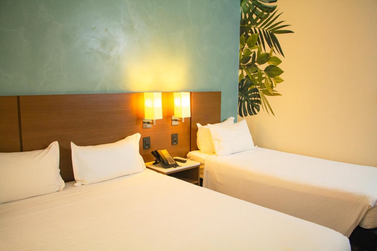 Отель Ibis Styles Curitiba Aeroporto Сан-Жозе-дус-Пиньяйс Экстерьер фото